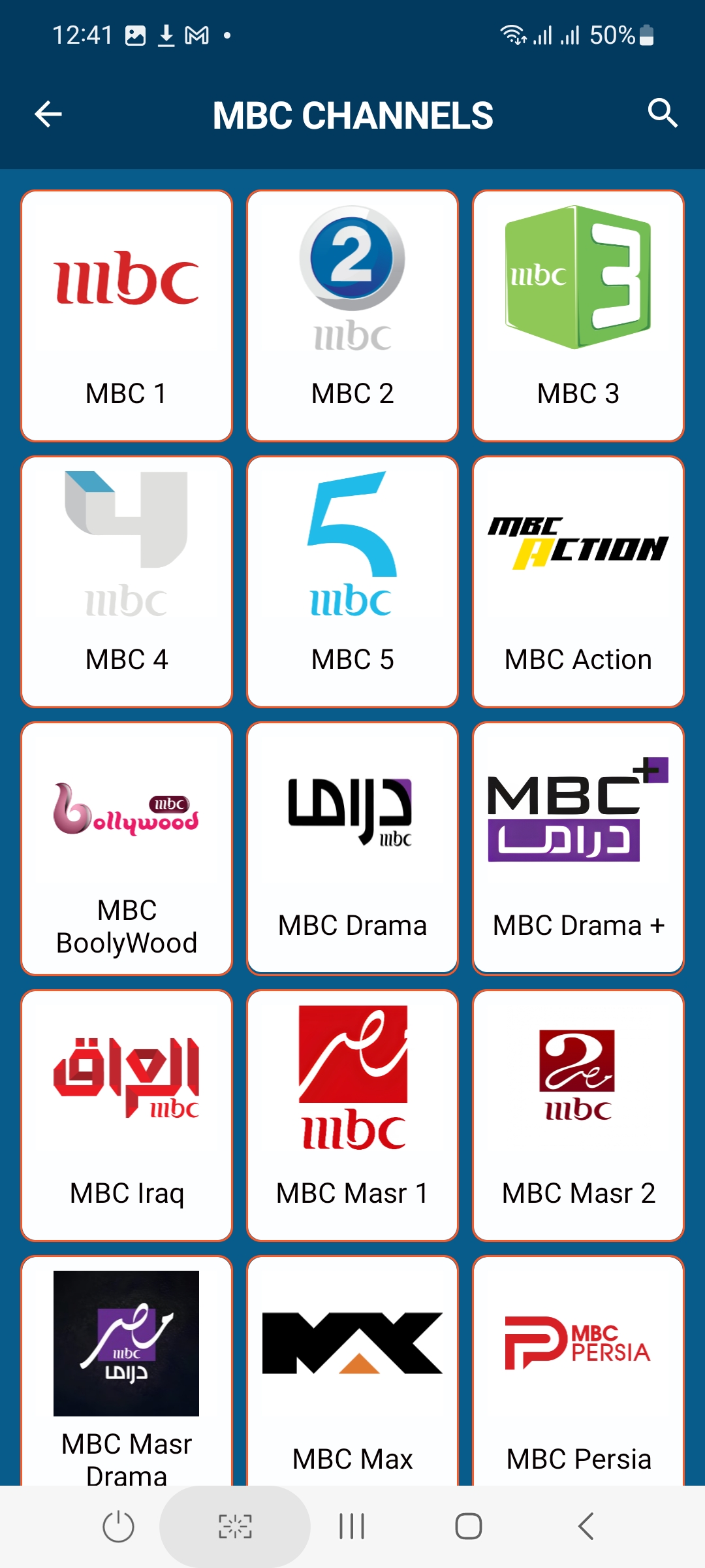 Wasla TV Screenshot 5